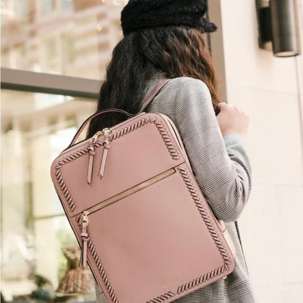 Calpak laptop backpack